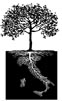 Food & Roots